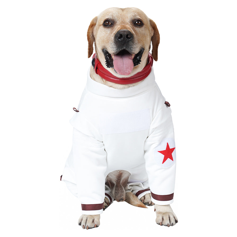 Cosplay Costume Outfits Halloween Carnival Party Suit Guardians of the Galaxy Vol. 3 Space suit Guardians of the Galaxy
