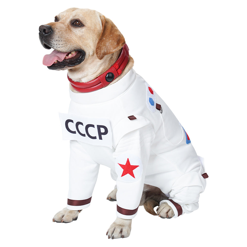 Cosplay Costume Outfits Halloween Carnival Party Suit Guardians of the Galaxy Vol. 3 Space suit Guardians of the Galaxy