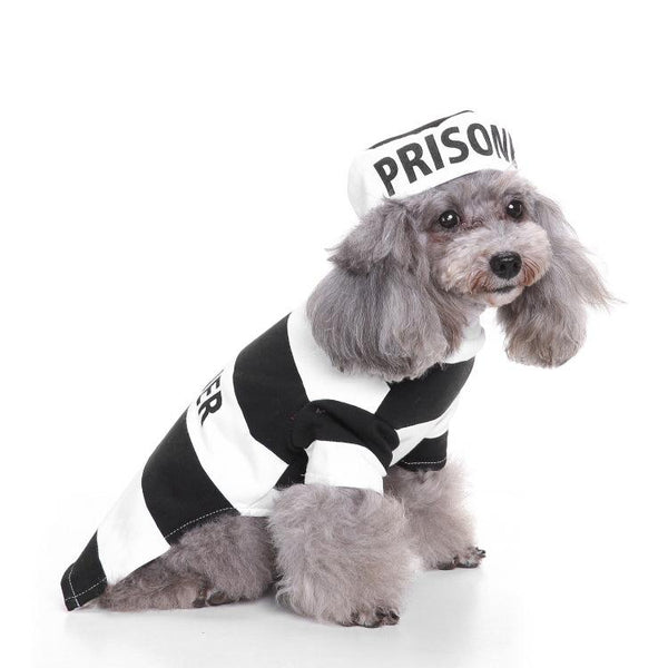 Dog prisoner clearance costume xxl