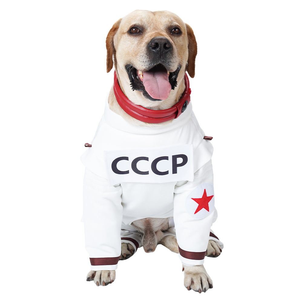 Cosplay Costume Outfits Halloween Carnival Party Suit Guardians of the Galaxy Vol. 3 Space suit Guardians of the Galaxy
