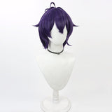 Mahou Shoujo ni Akogarete Hiiragi Utena Anime Character  Cosplay Purple Wig Heat Resistant Synthetic Hair Accessories Props