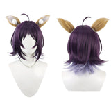 Cosmic Princess Kaguya Iroha Sakayori Cosplay Wig Halloween Carnival Costume Accessories