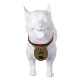 DANDADAN Turbo Granny Cosplay Costume For Adult Man Female Halloween Carnival Suit