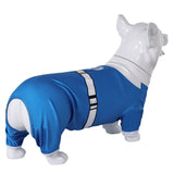 Fantastic Four Invisible Woman Cosplay Costume For Adult Man Female Halloween Carnival Suit