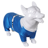 Fantastic Four Invisible Woman Cosplay Costume For Adult Man Female Halloween Carnival Suit