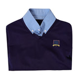 Ted Lasso Ted Blue Top Outfit Cosplay Costume Halloween Carnival Party Suit