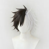 Wind Breaker Haruka Sakura Anime Character Cosplay Wig Heat Resistant Synthetic Hair