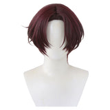 Wind Breaker Suou Hayato Anime Character Cosplay Wig Heat Resistant Synthetic Hair
