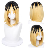 Yani Neko Sato Yaniko Cosplay Wig Heat Resistant Synthetic Hair Carnival Halloween Party Props