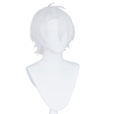 The Case Study of Vanitas-Noé Archiviste Cosplay Wig Heat Resistant Synthetic Hair Carnival Halloween Party Props