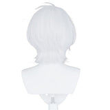 The Case Study of Vanitas-Noé Archiviste Cosplay Wig Heat Resistant Synthetic Hair Carnival Halloween Party Props