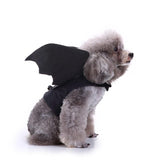 Pet Halloween Bat Wings Costume Cool Batman Design Party Clothes Cat Small Dog