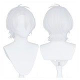 The Case Study of Vanitas-Noé Archiviste Cosplay Wig Heat Resistant Synthetic Hair Carnival Halloween Party Props