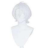 The Case Study of Vanitas-Noé Archiviste Cosplay Wig Heat Resistant Synthetic Hair Carnival Halloween Party Props